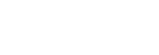 Leisein Logo